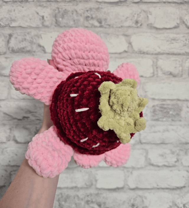Tortue fraise 🍓 
