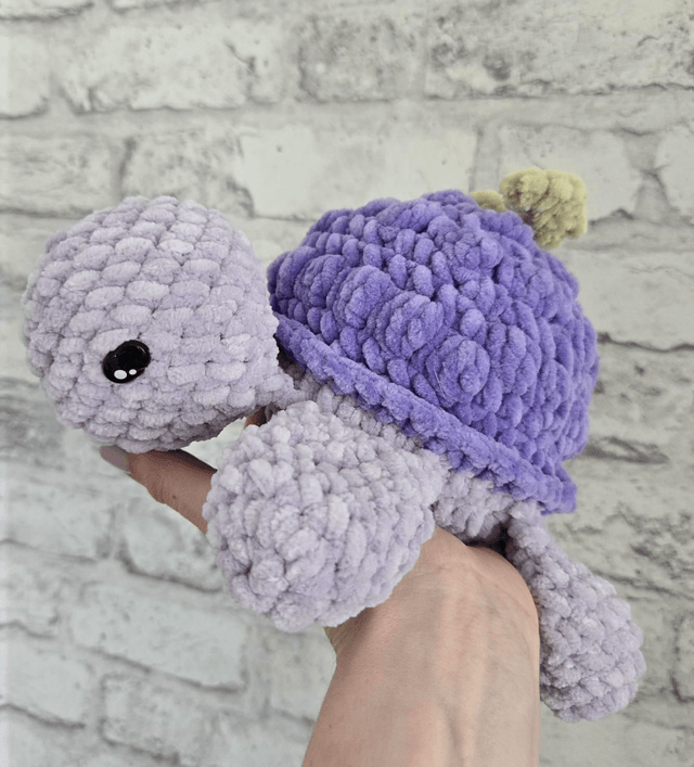 Tortue grappe de raisin