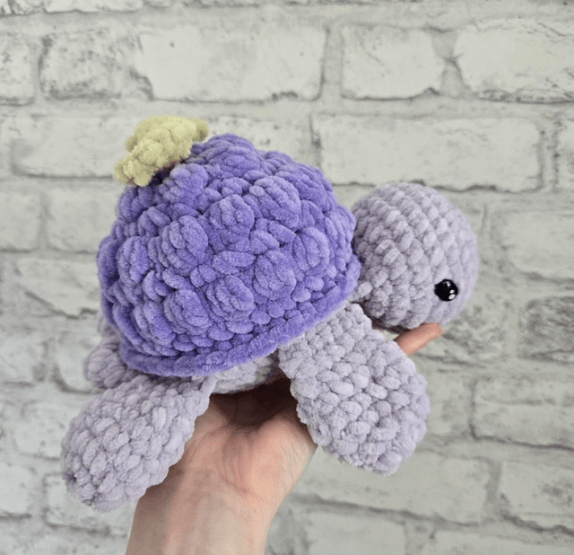 Tortue grappe de raisin