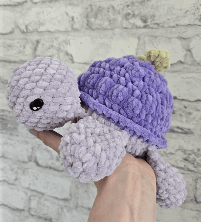 Tortue grappe de raisin